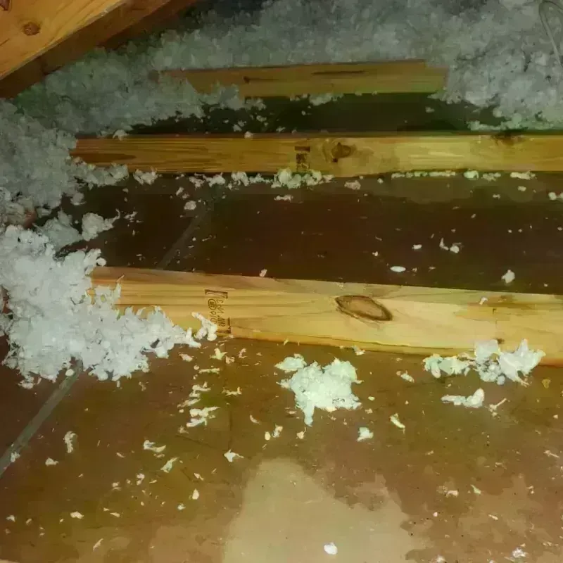 Attic Water Damage in Muhlenberg Park, PA